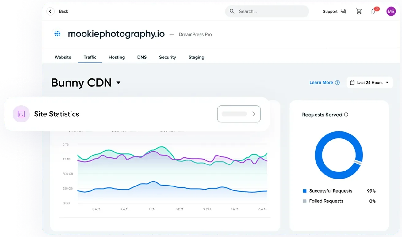 Panel view of Bunny CDN traffic report
